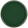 Talia Discbound Notebook - Discs (Olive Green, 1.25inch) by Talia