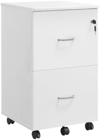 VASAGLE 2-Drawer File Cabinet, Small Rolling, Locking, Printer Stand by VASAGLE