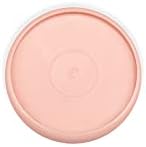Talia Discbound Notebook - Discs (Salmon, 1.25inch) - Image 3
