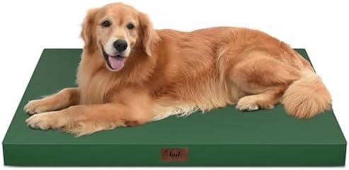 Waterproof Orthopedic Outdoor Dog Bed XL for Extra Large Dogs by TailStories