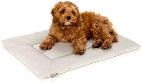 KindTail Dog Crate Pad - Soft Velvet, Reversible Bed - Machine Washable Kennel Mat for Pets up to 25 lbs - Mattress for Cozy Sleeping - 25” x 19” x 1” (Light Grey, Medium) by KindTail