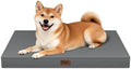 Outdoor Waterproof Orthopedic Dog Bed for Medium Size Dogs by TailStories