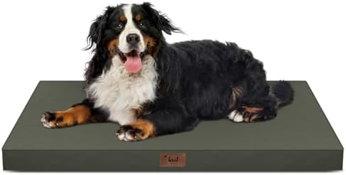 Outdoor Extra Large Dog Bed XXL for Giant Breed Dogs by TailStories
