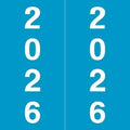 2026 Year Labels, Doctor Stuff 2026 Chart Stickers, Light Blue Color Coded by DoctorStuff