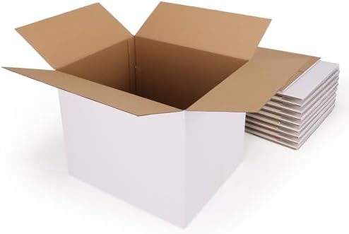 Hoikwo 10 Packs 12x10x10 Large Thin White Shipping Boxes by Hoikwo