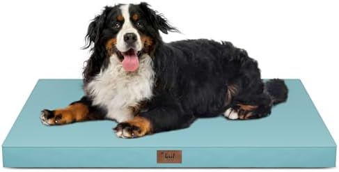 Outdoor Extra Large Dog Bed XXL for Giant Breed Dogs by TailStories