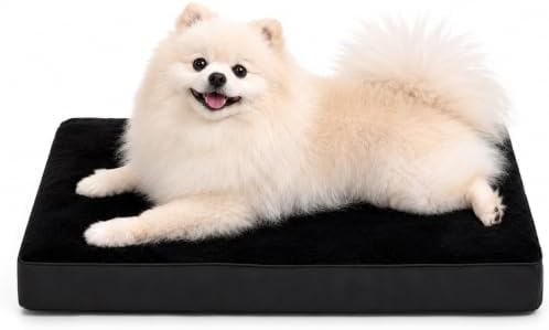 NUPIDA Waterproof Small Dog Bed for Crate with Washable Cover, 23x17, Black by NUPIDAPet%E2%80%99sHome