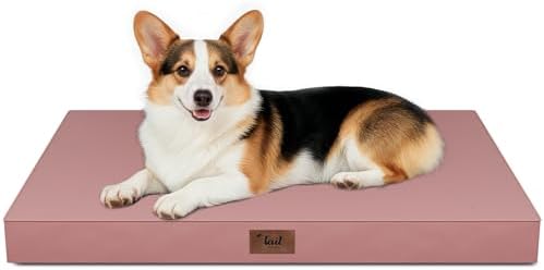 Outdoor Waterproof Orthopedic Dog Bed for Large Dogs by TailStories