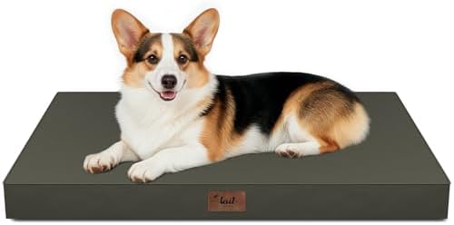 Outdoor Waterproof Orthopedic Dog Bed for Large Dogs by TailStories