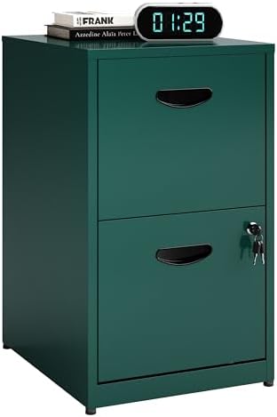 Polup 2 Drawer File Cabinet with Lock, Metal Filing Cabinet for Home Office by POLUP