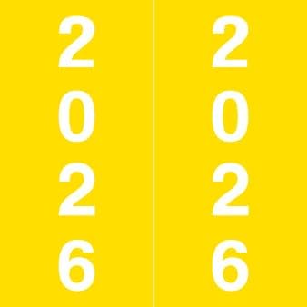 2026 Year Stickers, Doctor Stuff 2026 Chart Stickers, IFC Style, USA Made Year by DoctorStuff
