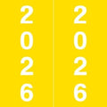 2026 Year Stickers, Doctor Stuff 2026 Chart Stickers, IFC Style, USA Made Year by DoctorStuff