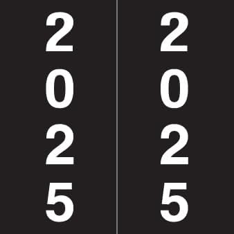 2025 Year Stickers, Doctor Stuff 2025 Chart Stickers, IFC Style, USA Made Year by DoctorStuff