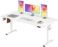 71''x 31'' Standing Desk Electric Adjustable for Home Office by FitStand