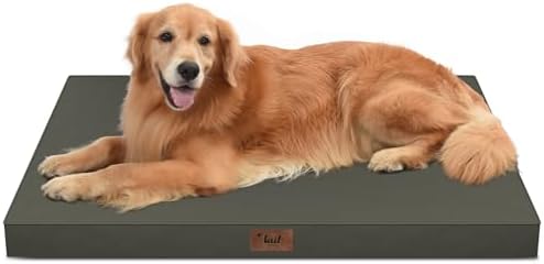 Waterproof Orthopedic Outdoor Dog Bed XL for Extra Large Dogs by TailStories