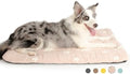 Mora Pets Dog Crate Pad Washable Dog Bed for Crate Flat Cat Pet Kennel Mat by MoraPets