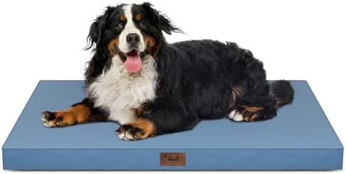Outdoor Extra Large Dog Bed XXL for Giant Breed Dogs by TailStories