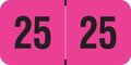 2025 Year Labels, Doctor Stuff 2025 Chart Stickers, Fluorescent Pink Color Coded by DoctorStuff