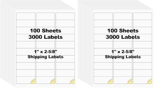 100 Sheets 3000 Pcs 30 Up 1" x2-5/8 Shipping Address Barcode Labels for Laser & Inkjet Printers, 1x2.625 FBA Labels on US Letter, 30 per Sheet Return Address Labels, 30 per Page (Pack of 2) by Risepekt