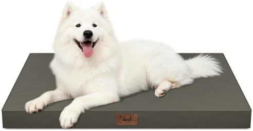Large Waterproof Orthopedic Dog Bed with Egg Crate Foam by TailStories