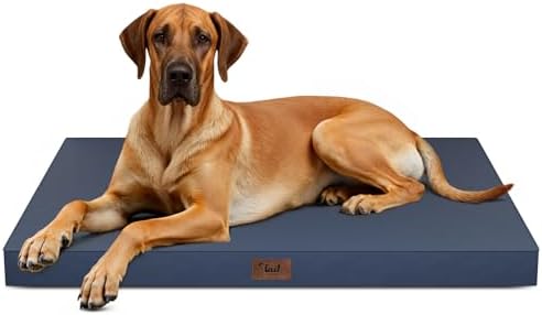 Jumbo Waterproof Orthopedic Dog Bed for Extra Large Dogs by TailStories