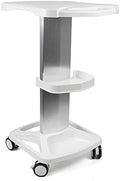 Beauty Salon Trolley Cart, Mobile Rolling Cart with Tray and Wheels for Professional Beauty Equipment, Spa Storage Solutions, LxW: 18x15inch by DYRABREST