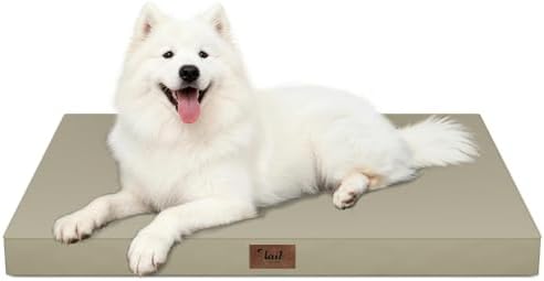 Large Waterproof Orthopedic Dog Bed with Egg Crate Foam by TailStories