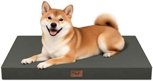 Outdoor Waterproof Orthopedic Dog Bed for Medium Size Dogs by TailStories