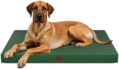 Jumbo Waterproof Orthopedic Dog Bed for Extra Large Dogs by TailStories