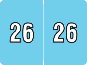2026 Year Stickers, Doctor Stuff 2026 Chart Stickers, Light Blue Color Coded by DoctorStuff