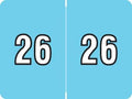2026 Year Stickers, Doctor Stuff 2026 Chart Stickers, Light Blue Color Coded by DoctorStuff