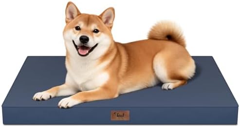 Outdoor Waterproof Orthopedic Dog Bed for Medium Size Dogs by TailStories