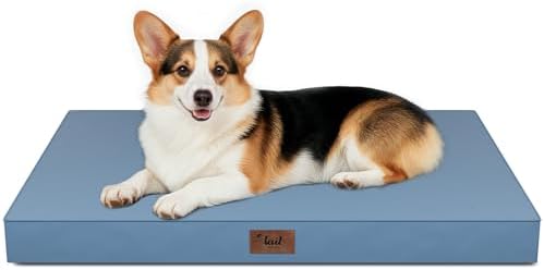 Outdoor Waterproof Orthopedic Dog Bed for Large Dogs by TailStories