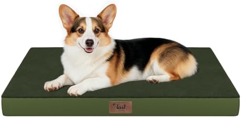 Outdoor Waterproof Orthopedic Dog Bed for Large Dogs by TailStories