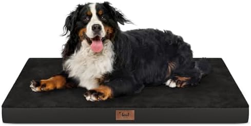 Outdoor Extra Large Dog Bed XXL for Giant Breed Dogs by TailStories