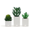 U Brands Adhesive Faux Succulent Cord Organizers, Set of 3, Assorted Colors by UBrands