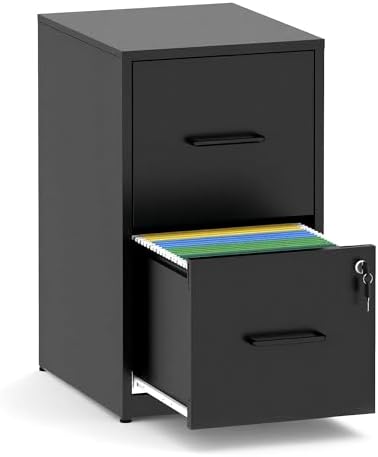 2 Drawer File Cabinet with Lock,Metal File Cabinet for Home Office by FLIXELIO