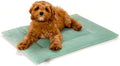 KindTail Dog Crate Pad - Soft Velvet, Reversible Bed - Machine Washable Kennel Mat for Pets up to 25 lbs - Mattress for Cozy Sleeping - 25” x 19” x 1” (Light Green, Medium) by KindTail