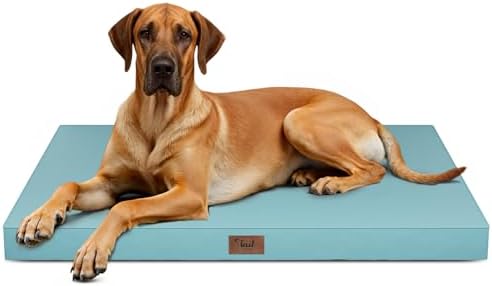 Jumbo Waterproof Orthopedic Dog Bed for Extra Large Dogs by TailStories