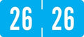 2026 Small Year Labels, Doctor Stuff 2026 Chart Stickers, Light Blue Color Coded by DoctorStuff
