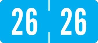 2026 Small Year Labels, Doctor Stuff 2026 Chart Stickers, Light Blue Color Coded by DoctorStuff