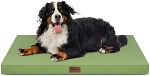 Outdoor Extra Large Dog Bed XXL for Giant Breed Dogs by TailStories