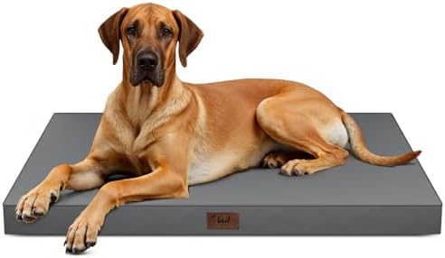 Jumbo Waterproof Orthopedic Dog Bed for Extra Large Dogs by TailStories