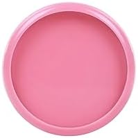 Talia Discbound Notebook - Discs (Spring Pink, 1.5inch) by Talia