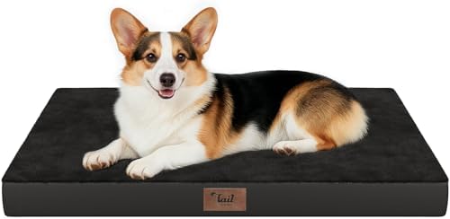 Outdoor Waterproof Orthopedic Dog Bed for Large Dogs by TailStories