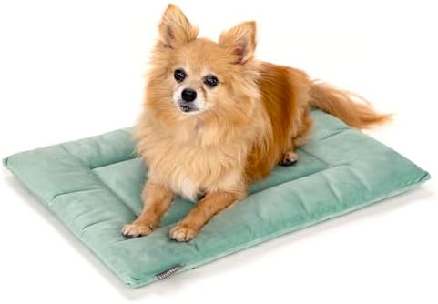 KindTail Dog Crate Pad - Soft Velvet, Reversible Bed - Machine Washable Kennel Mat for Pets up to 15 lbs, Mattress for Cozy Sleeping - 20” x 15” x 1” (Light Green, Small) by KindTail