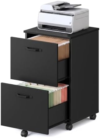 VASAGLE 2-Drawer File Cabinet, Small Rolling Filing Cabinet by VASAGLEbySONGMICSHOME