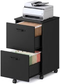 VASAGLE 2-Drawer File Cabinet, Small Rolling Filing Cabinet by VASAGLEbySONGMICSHOME