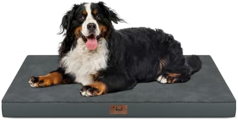 Outdoor Extra Large Dog Bed XXL for Giant Breed Dogs by TailStories