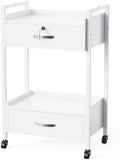 OmySalon Salon Trolley Cart with Wheels, Esthetician Cart with 2 Drawers & 2 Trays, Mobile Storage Organizer for Beauty Spa Massage Tattoo Esthetic Facial Tool Holder Station, White by OmySalon